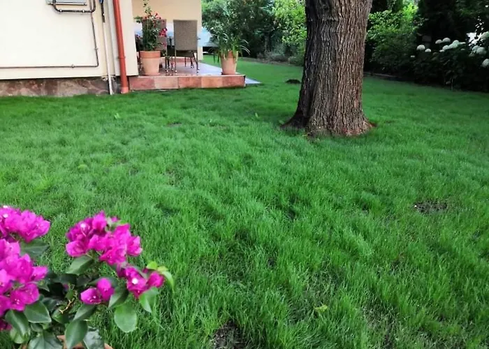 Eleonora * 발라톤엘